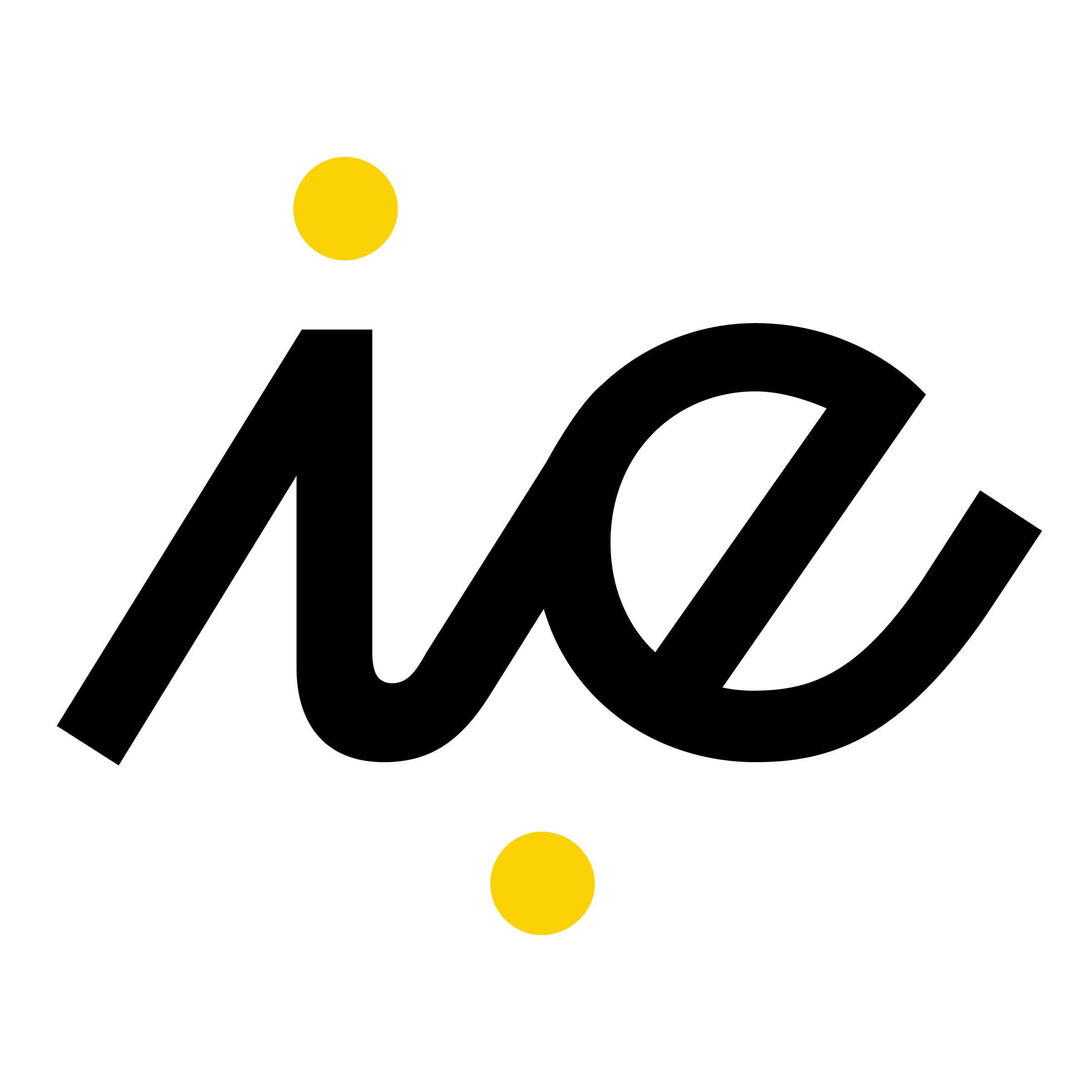 IE logo standard